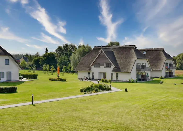 Silbermoewe 10 Im Wreecher Idyll Ruegen By Ruyastay *